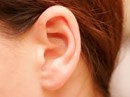 Câu đố về cái tai